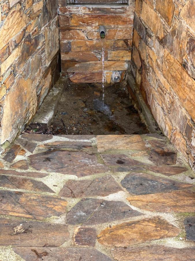 Isabel House Alojamento Rural Pampilhosa da Serra Eksteriør bilde